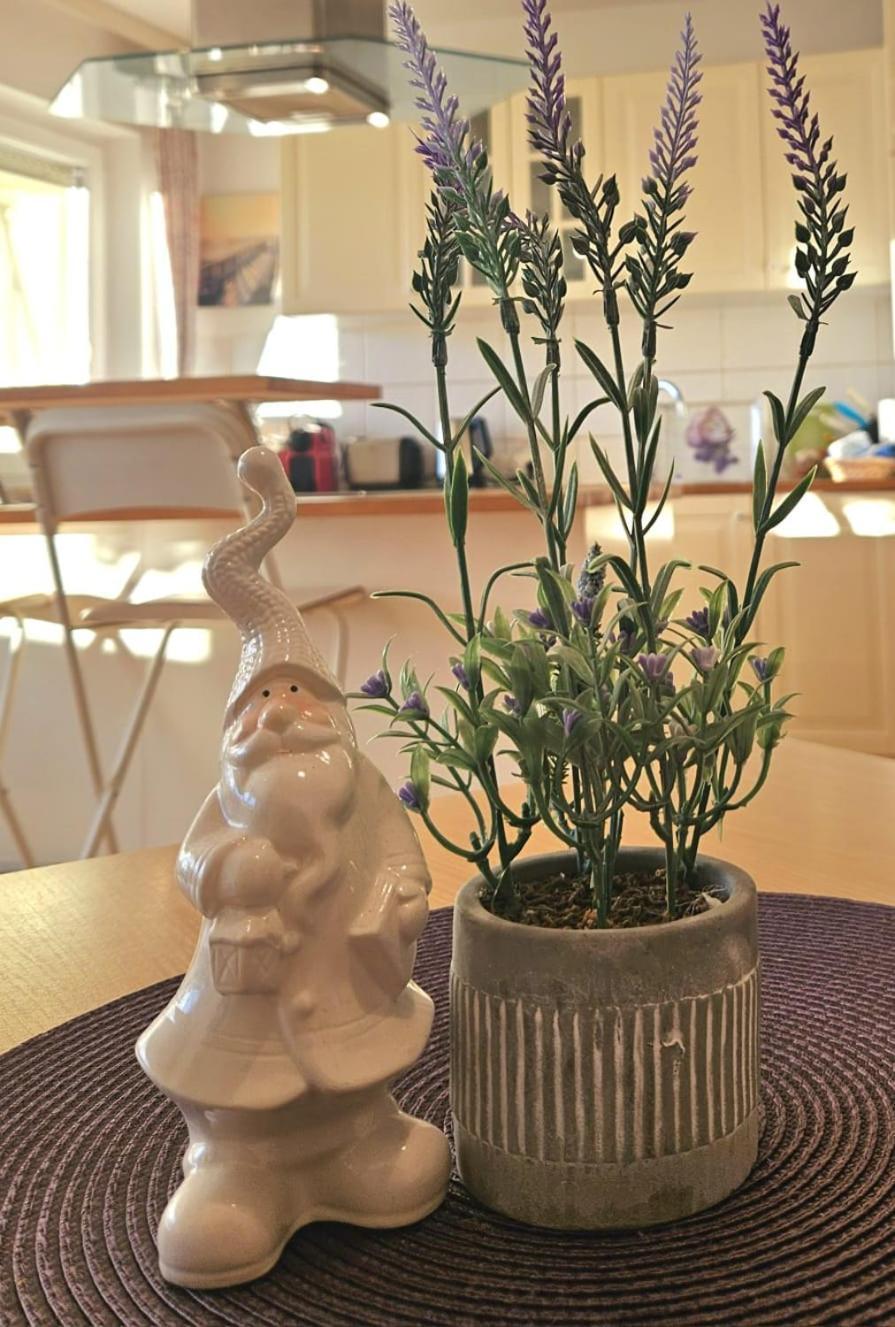 Ferienwohnung Sonnenfeld フライラッシンク エクステリア 写真